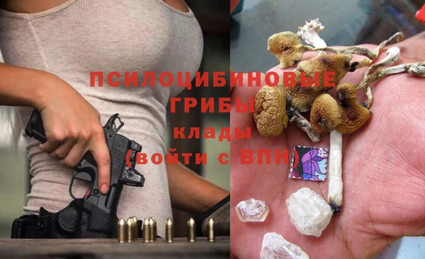 твердый Алексеевка