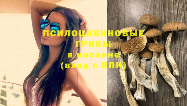 стаф Алексин
